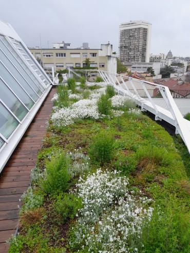 toiture terrasse recouverte de plantations, vue sur paris